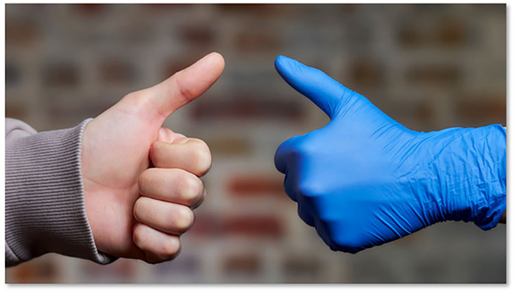 Blue gloves for the food sector