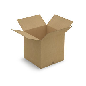 Muro Hormiguero de cajas de cartón canal simple